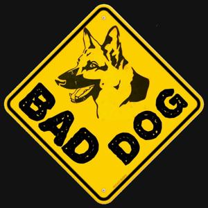 BAD DOG