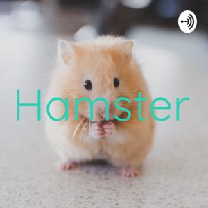 Hamster