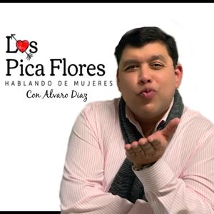 Los Pica Flores