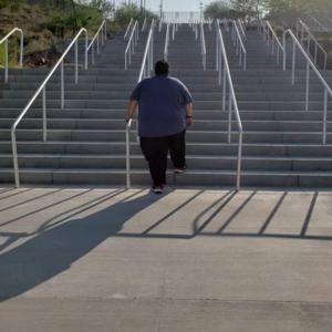 The Obesity Journals