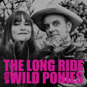 The Long Ride With Wild Ponies