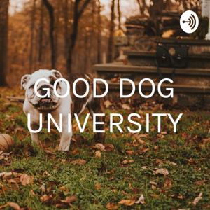 GOOD DOG UNIVERSITY