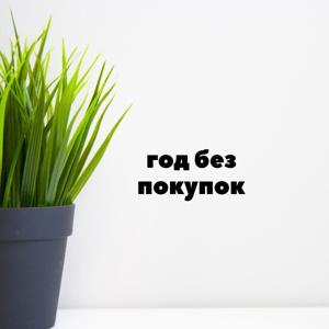 Год без покупок