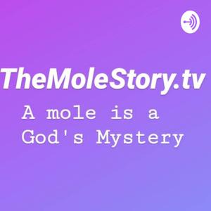 TheMoleStory