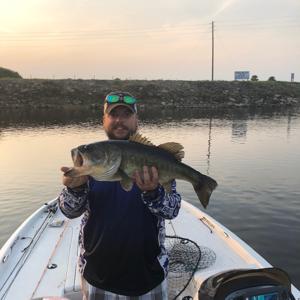 FX3 Inc Presents "Radio Chatter"