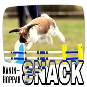 KaninHopparSNACK