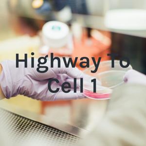 Highway To Cell 1