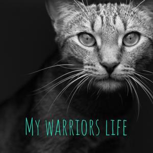 My warriors life