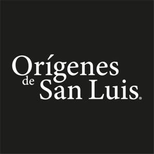 Orígenes de San Luis