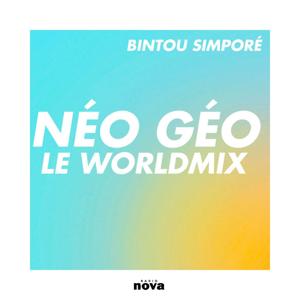 Néo Géo Nova : le Worldmix