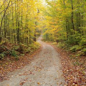 Chaosology: The Theory of Relatively Nothing