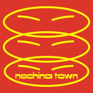 Nechina Town Podcast