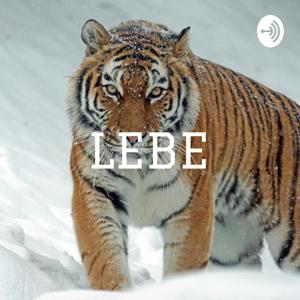 LEBE - JETZT.