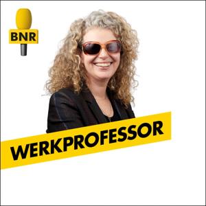 Werkprofessor | BNR