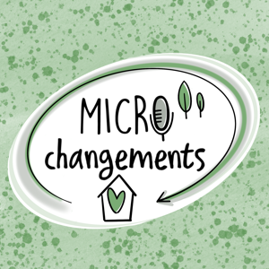 Micro changements