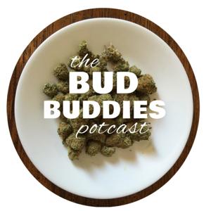 Bud Buddies