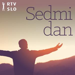 Sedmi dan