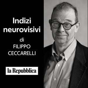 Indizi neurovisivi