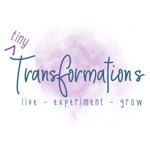 Tiny Transformations