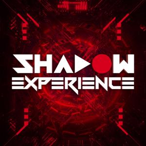 The Shadow Experience