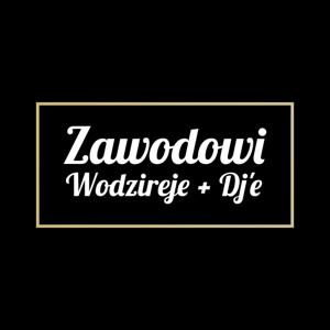 Zawodowi Wodzireje + DJ'e