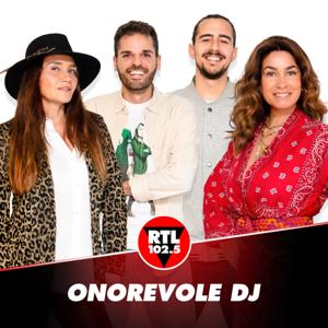 Onorevole DJ