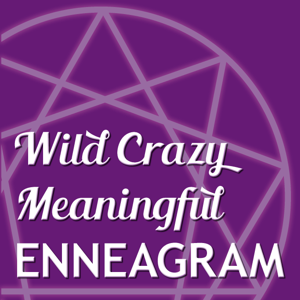 Wild Crazy Meaningful Enneagram