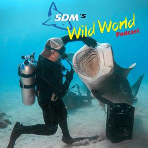 SDM's Wild World