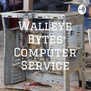 Walleye Bytes Computer Service