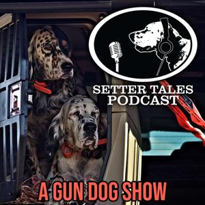 Setter Tales Podcast