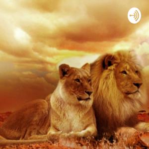The Lioness Order