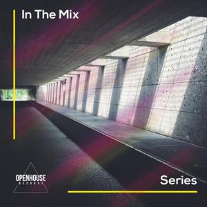 In The Mix Series