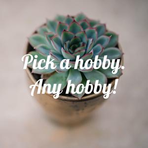 Pick a hobby. Any hobby!