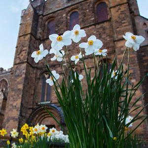 Ripon Cathedral