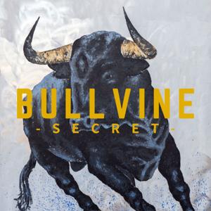 Bullvine Secret - Skateboarding News