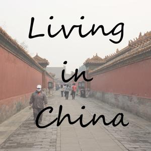 Living in China: The Fine print