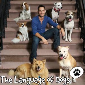 The Language Of Dogs