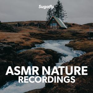 ASMR Nature Recordings