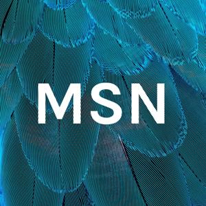 MSN