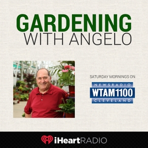 In The Garden With Ron Wilson Podcast Free On The Podcast App