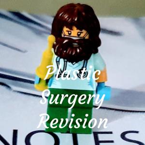 Plastic Surgery Revision by Ryan Kerstein
