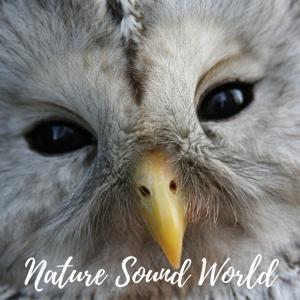 Nature Sound World by Nature Sound World