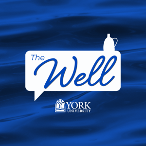 York University  at The Well