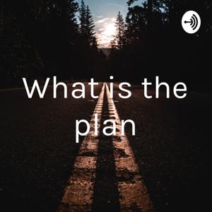 What is the plan