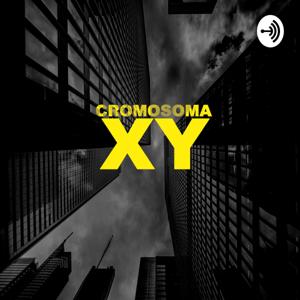 Cromosoma XY