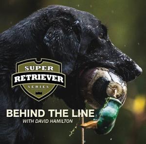 Super Retriever Series "Behind the Line" by Shannon Nardi