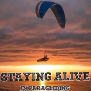 Staying Alive in Paragliding by Stef Juncker