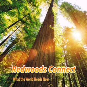 Redwoods Connect: What The World Needs Now