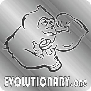 Evolutionary Radio by Evolutionary