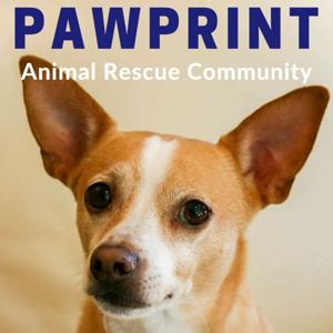 Pawprint | animal rescue podcast for dog, cat, and other animal lovers